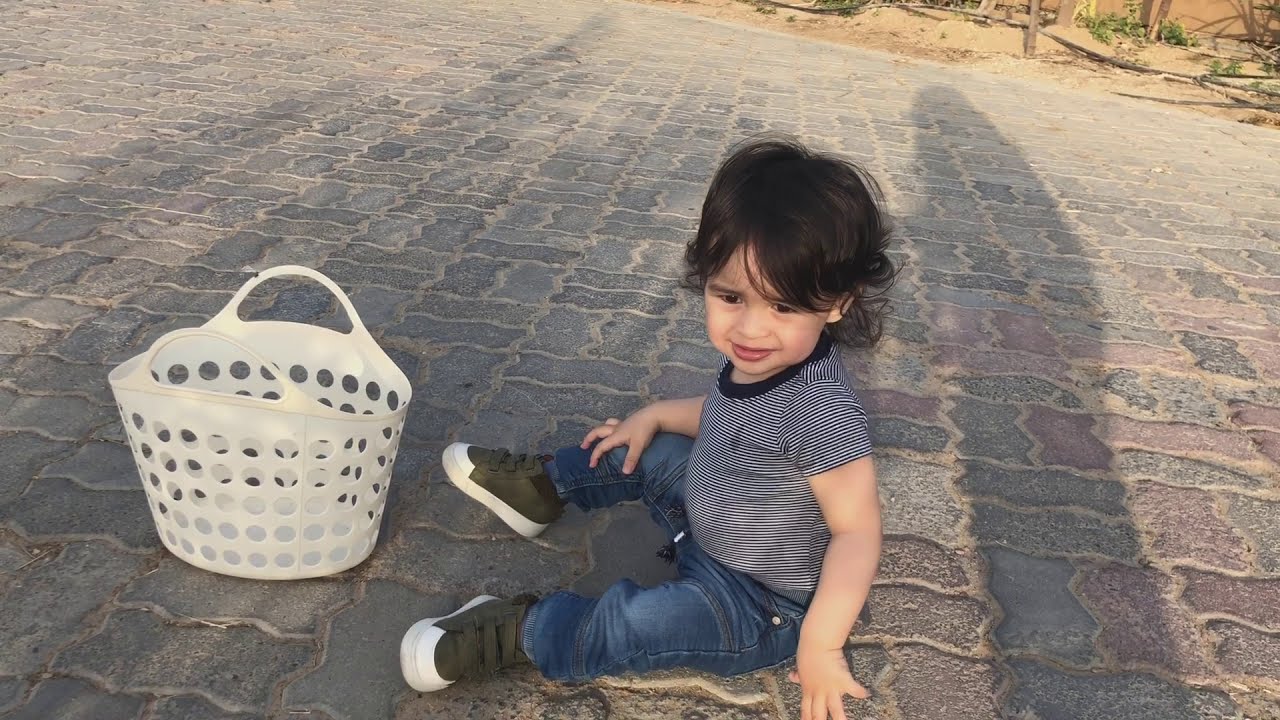 Farm Tour | Mazaraa Organic Farm Shop, Al Bahya Abu Dhabi | Feeding and Harvesting