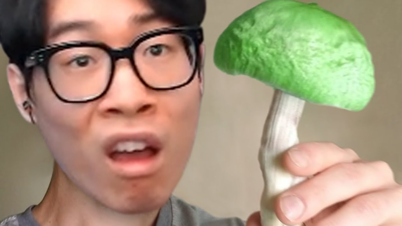 독버섯이 불러온 비극