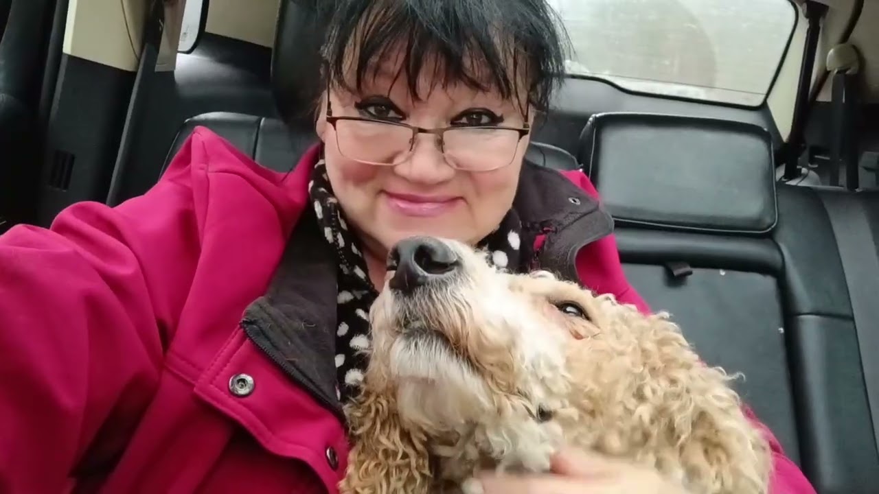 Умка получил травму , едем к доктору .Umka was injured, we are going to the doctor.