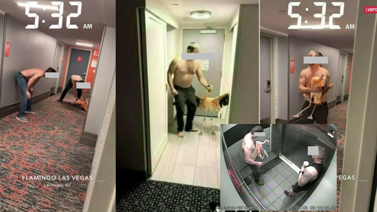 &lsquo;I&rsquo;m taking it home&rsquo;: Man seen on video abusing flamingos at Las Vegas hotel, police say