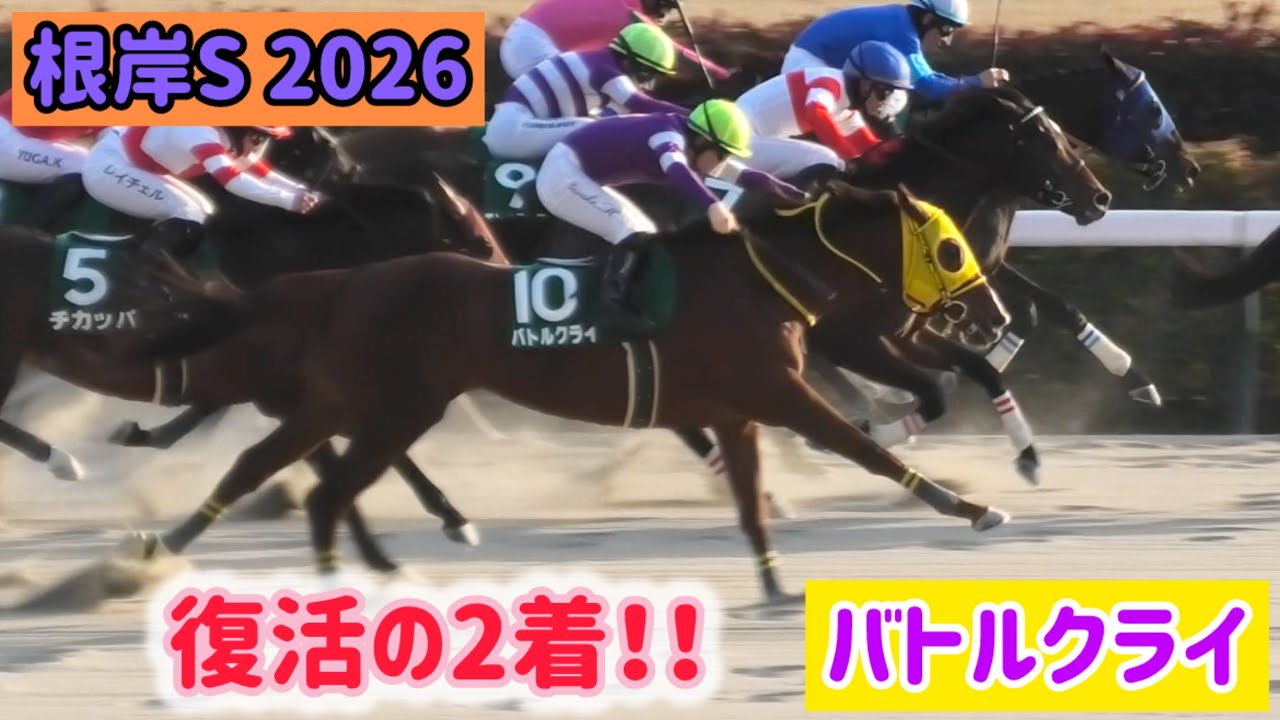 【根岸S 2026】ラストの豪脚がかっこいい！13番人気から2着に輝いたバトルクライ！今日の首の角度調整は微調整な模様