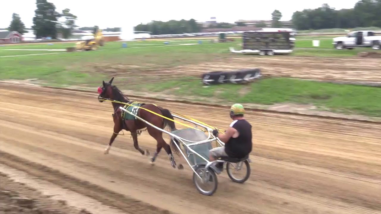 Cuyahoga County Fair: Bob 'Railbird' Roberts helps handicap harness races