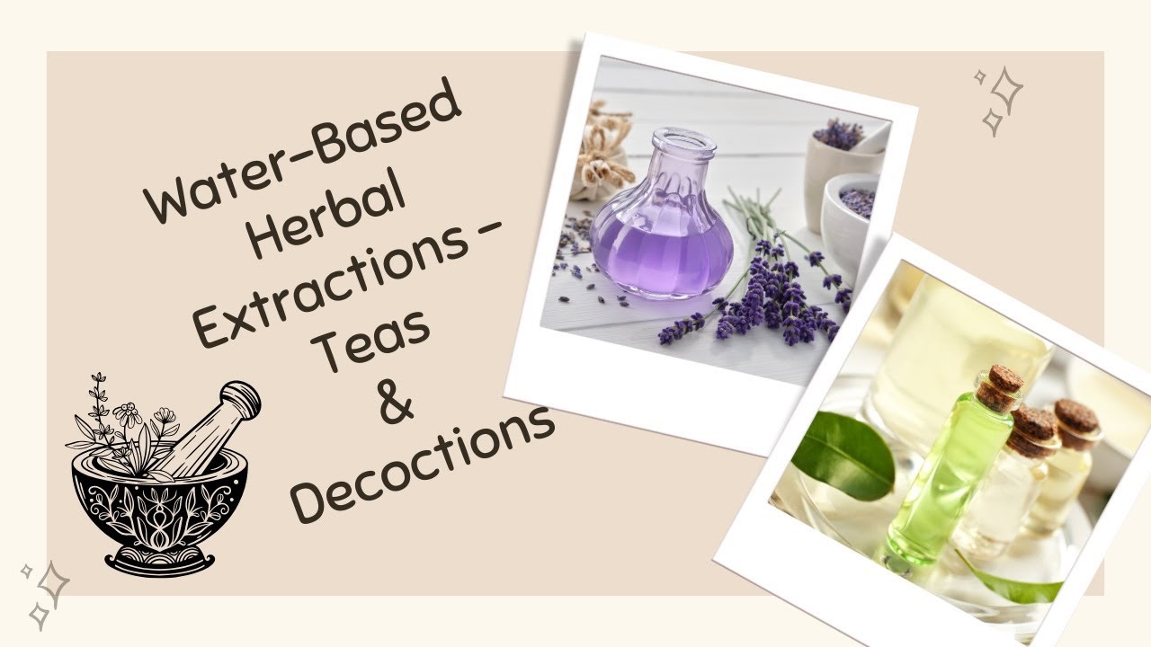 Ep 3 Water Based Herbal Extractions  Teas and Decoctions