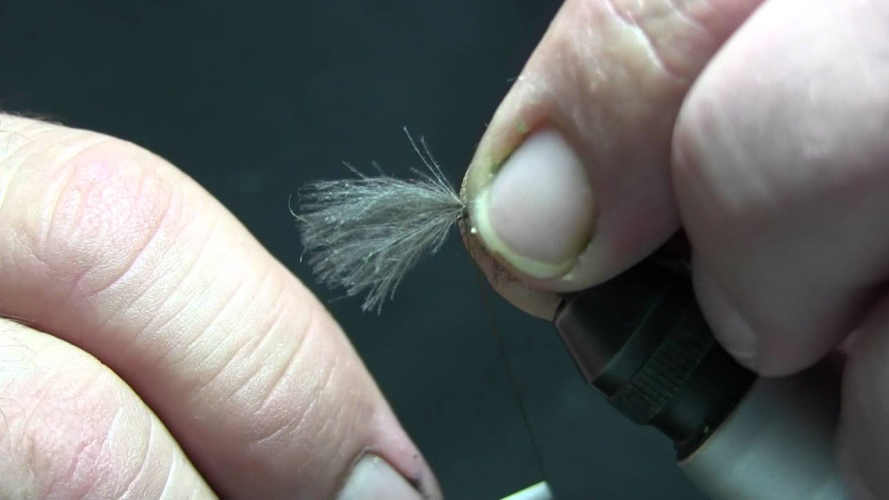 CDC Köcherfliege