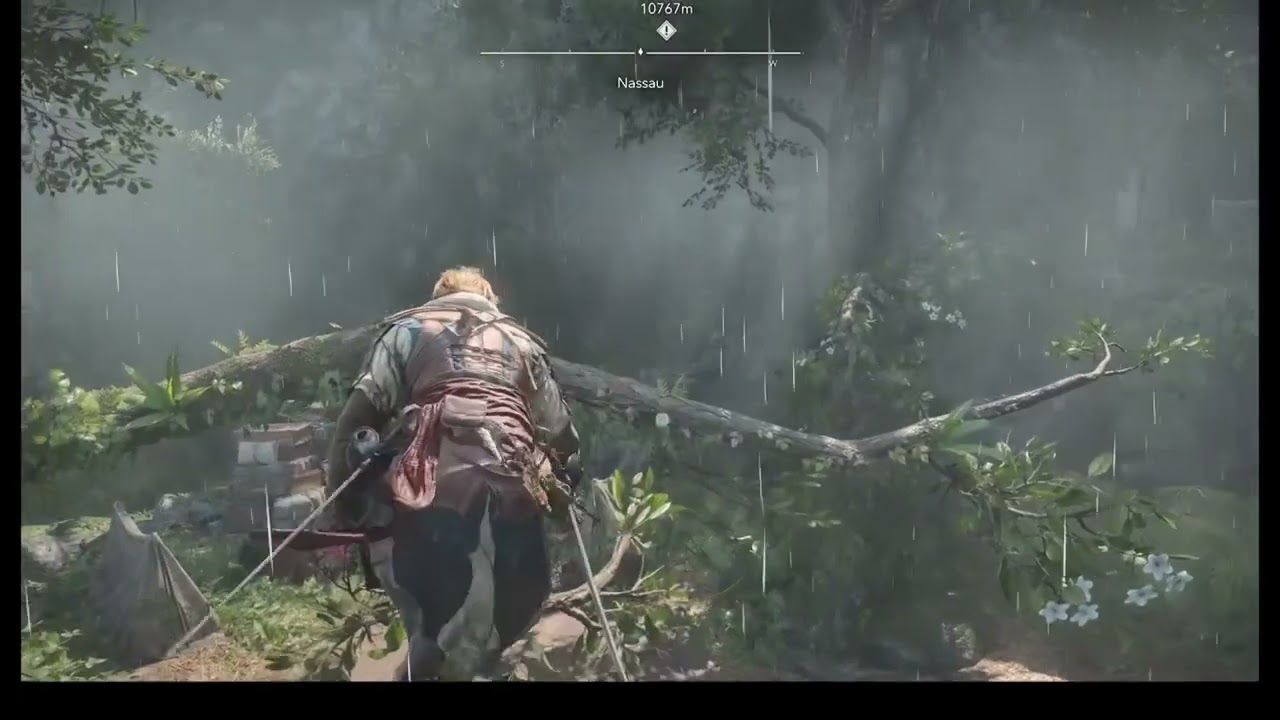 AC Black Flag Resynced: Коллекционные предметы в Нассау