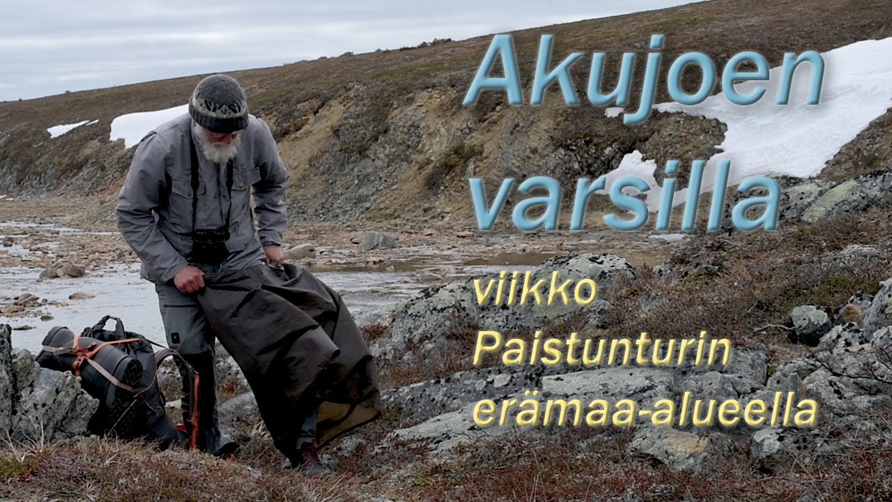 Viikko Akujoen varsilla Paistunturien alueella kesäkuussa 2025
