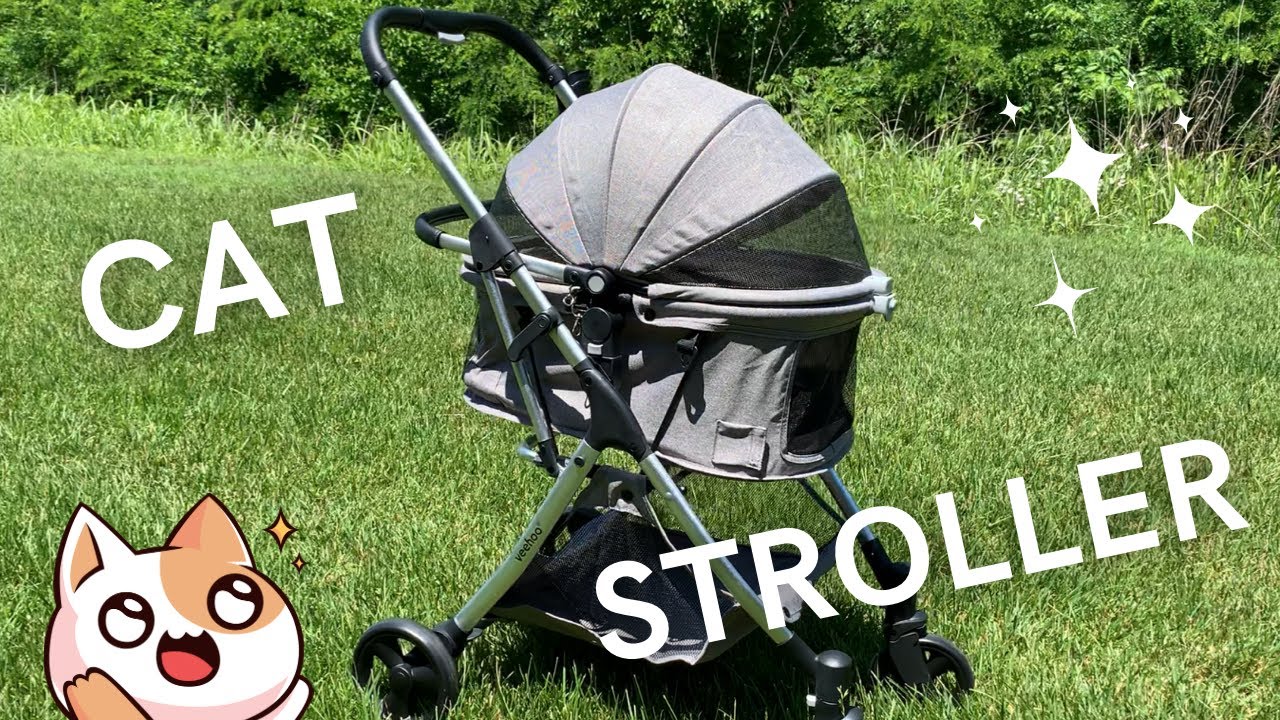 We got a CAT STROLLER! | VeeHoo Cat Stroller Review