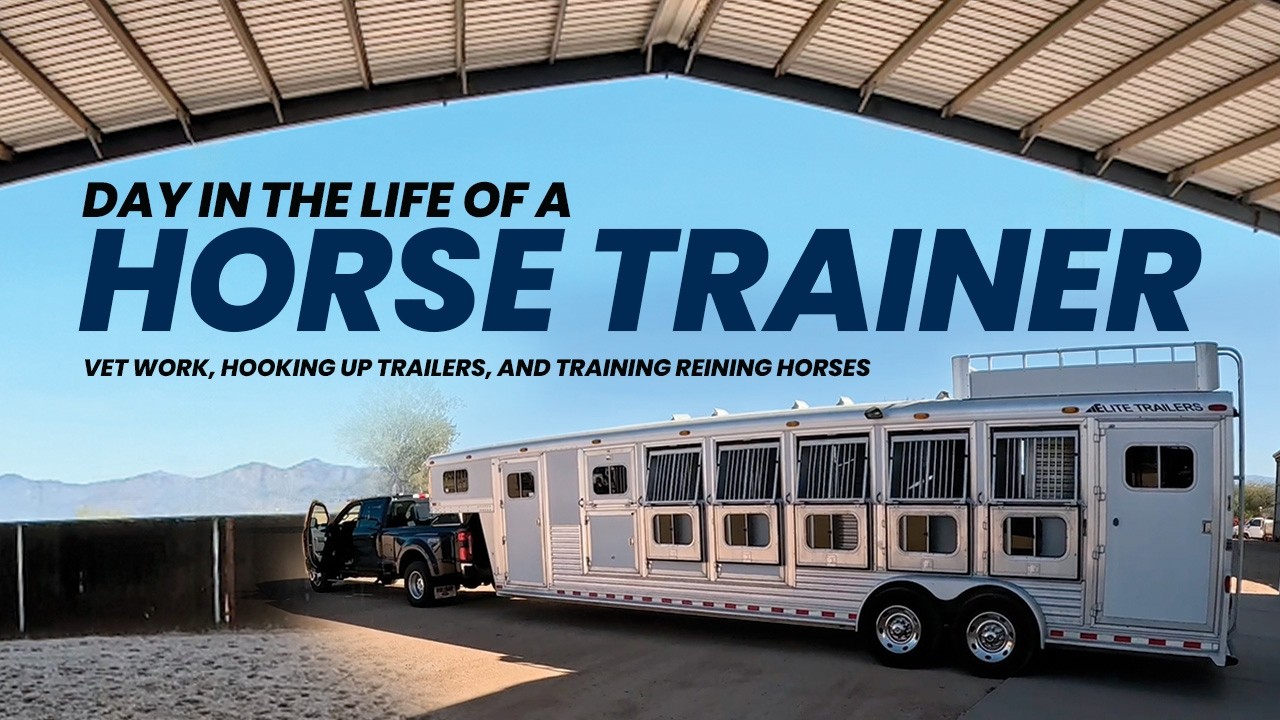 Day in the Life of a Reining Horse Trainer | Vet Work, Hauling, & Training