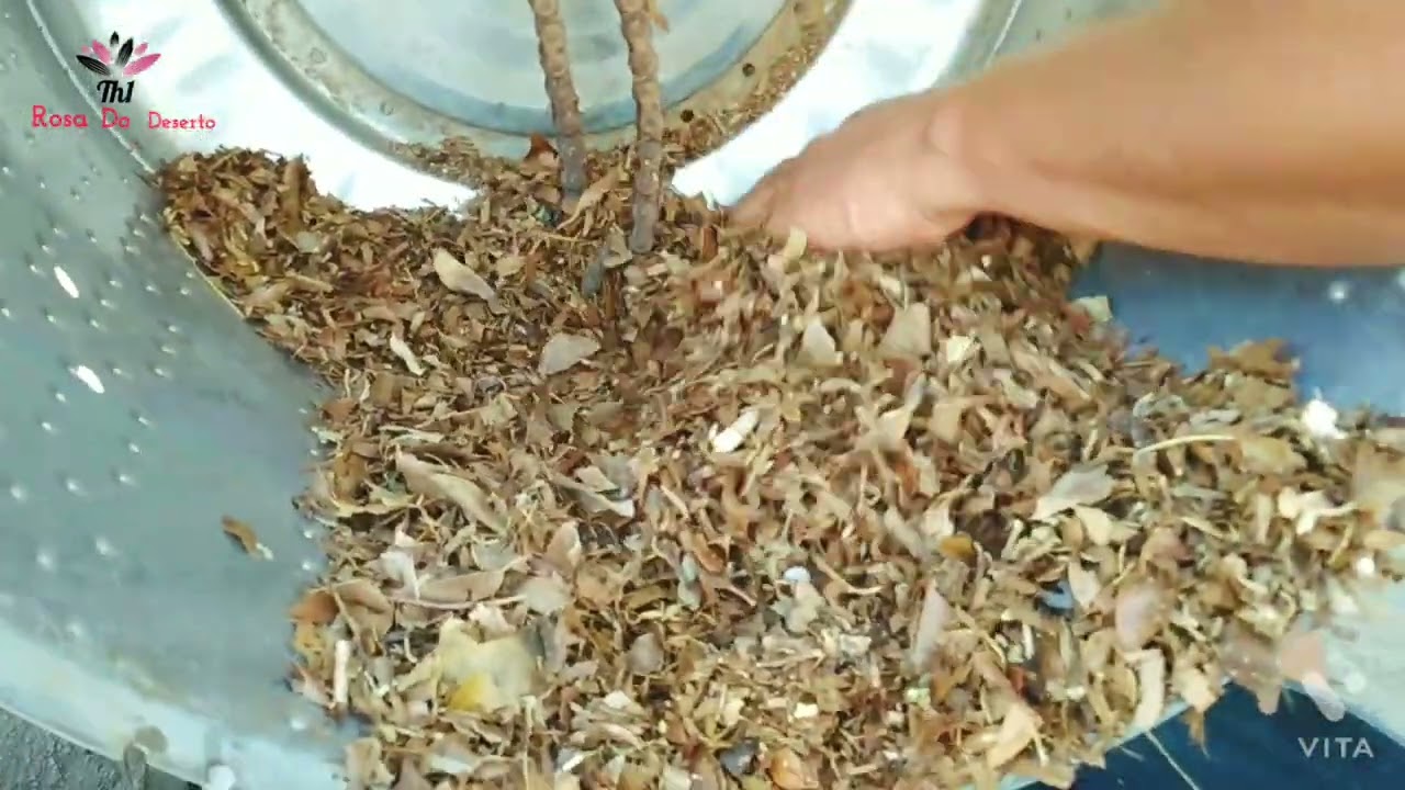 triturador de folhas totalmente caseiro