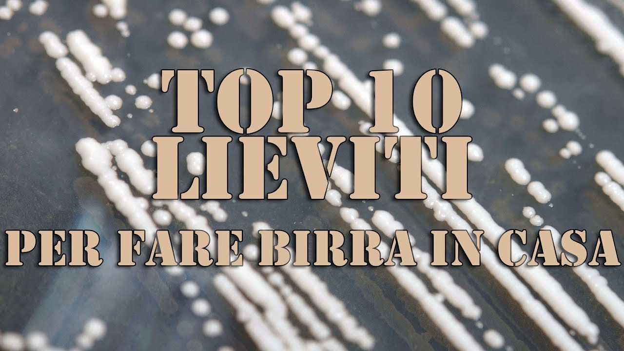 TOP 10 LIEVITI per fare BIRRA in CASA!!!