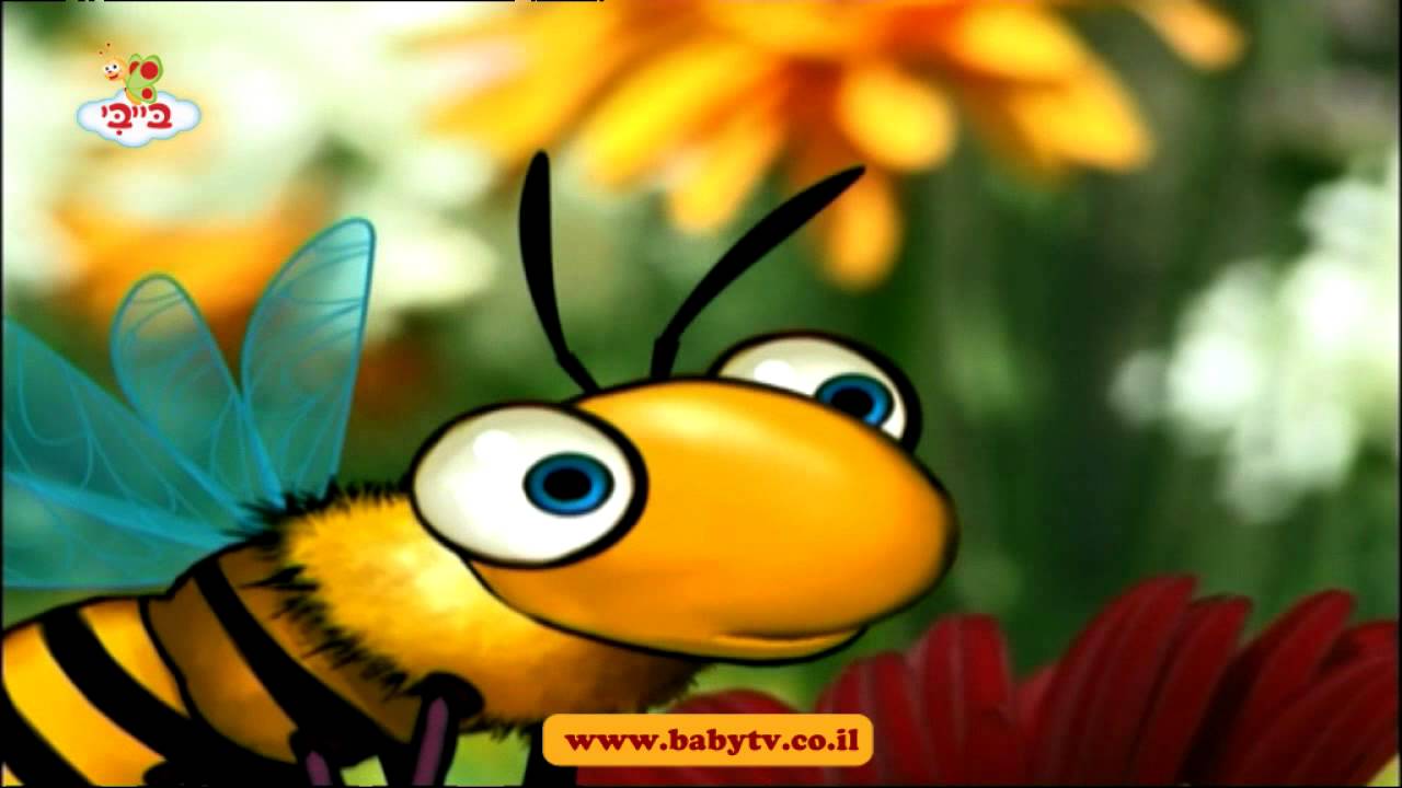 מר שבלול - הדבורה