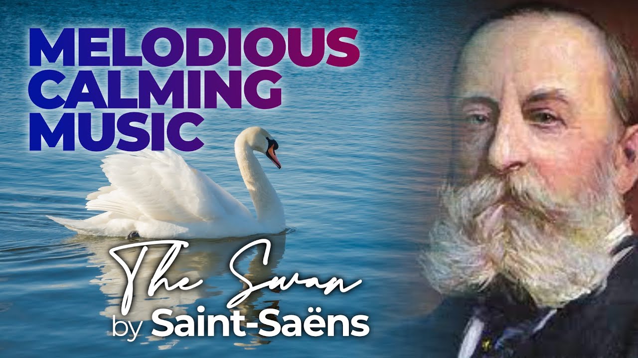 THE SWAN by Saint-Saëns | Melodious Calming Music for Sleep & Relaxation