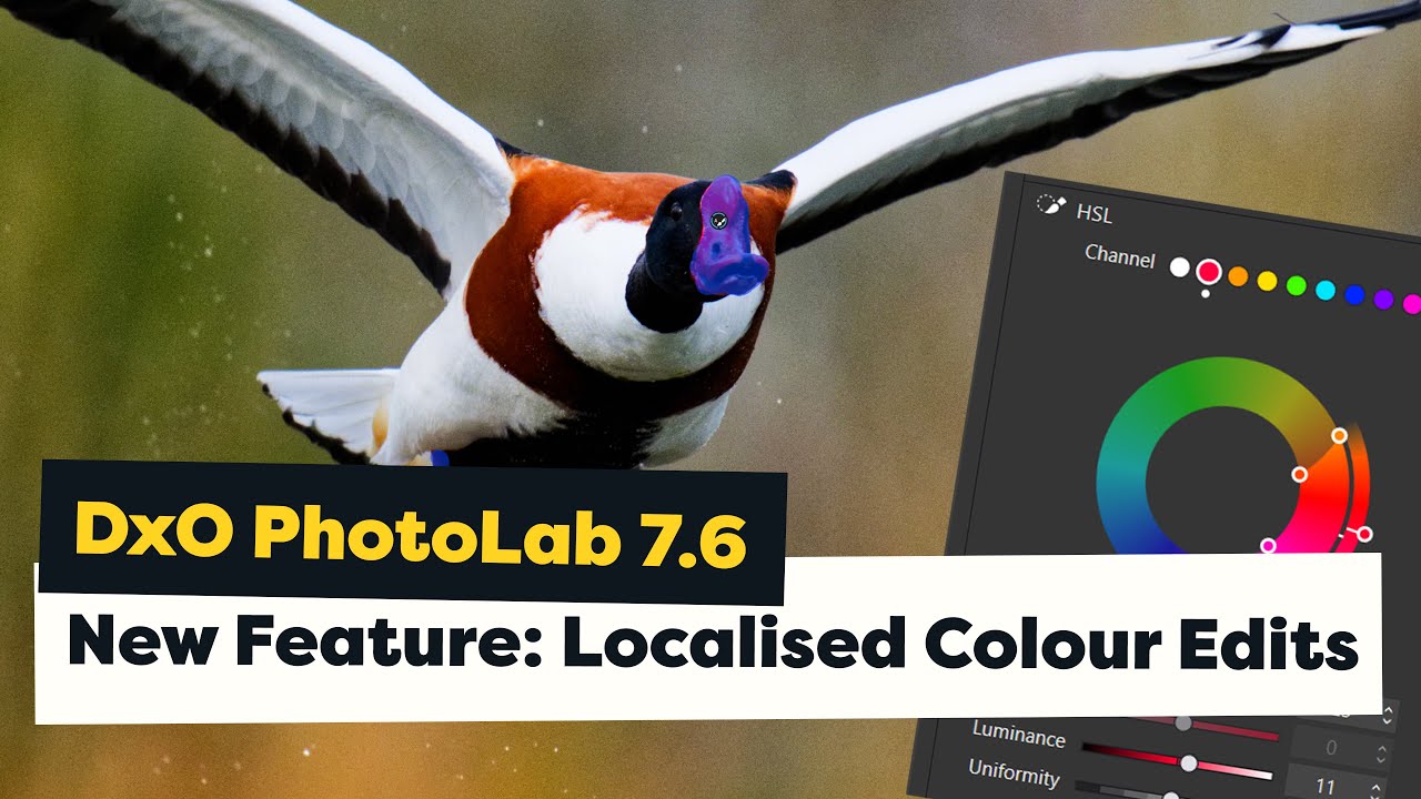 Local Colour Adjustments in DxO PhotoLab 7.6 & A Free Preset for Birds