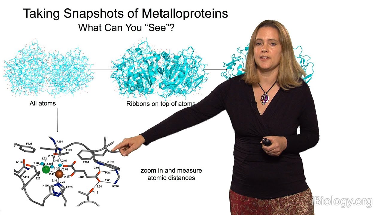Catherine Drennan (MIT/HHMI) Part 1: Introduction to Metalloproteins