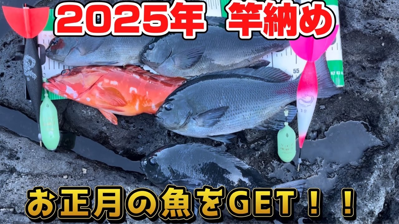 【伊豆大島/松崎】夫婦でカゴ釣りしてお正月の寒メジナを釣り上げろ‼️