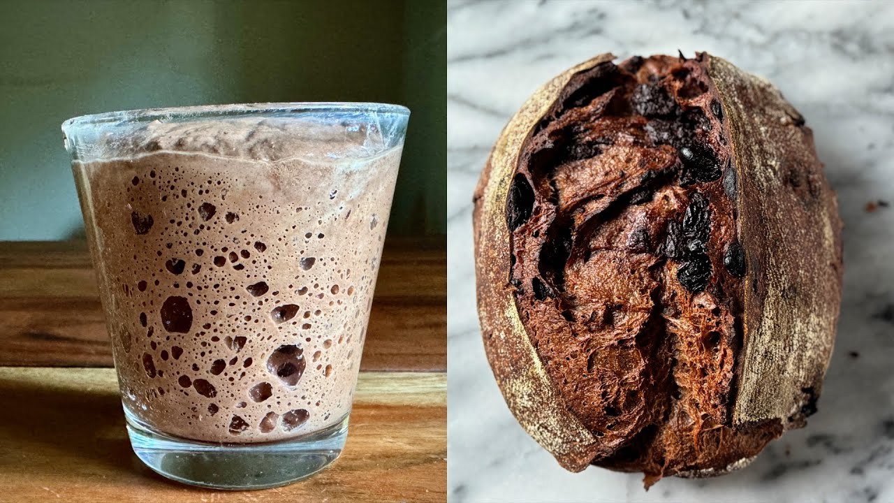 从喂养巧克力酵种开始：打造浓郁的黑森林樱桃酸种面包  Ultimate Black Forest Sourdough 🍒 Chocolate Starter & Dried Cherries
