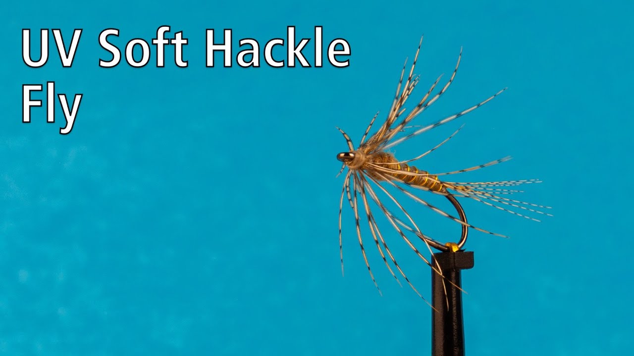 UV Soft Hackle Fly – dein Ass im Ärmel, wenn Trockenfliegen versagen?