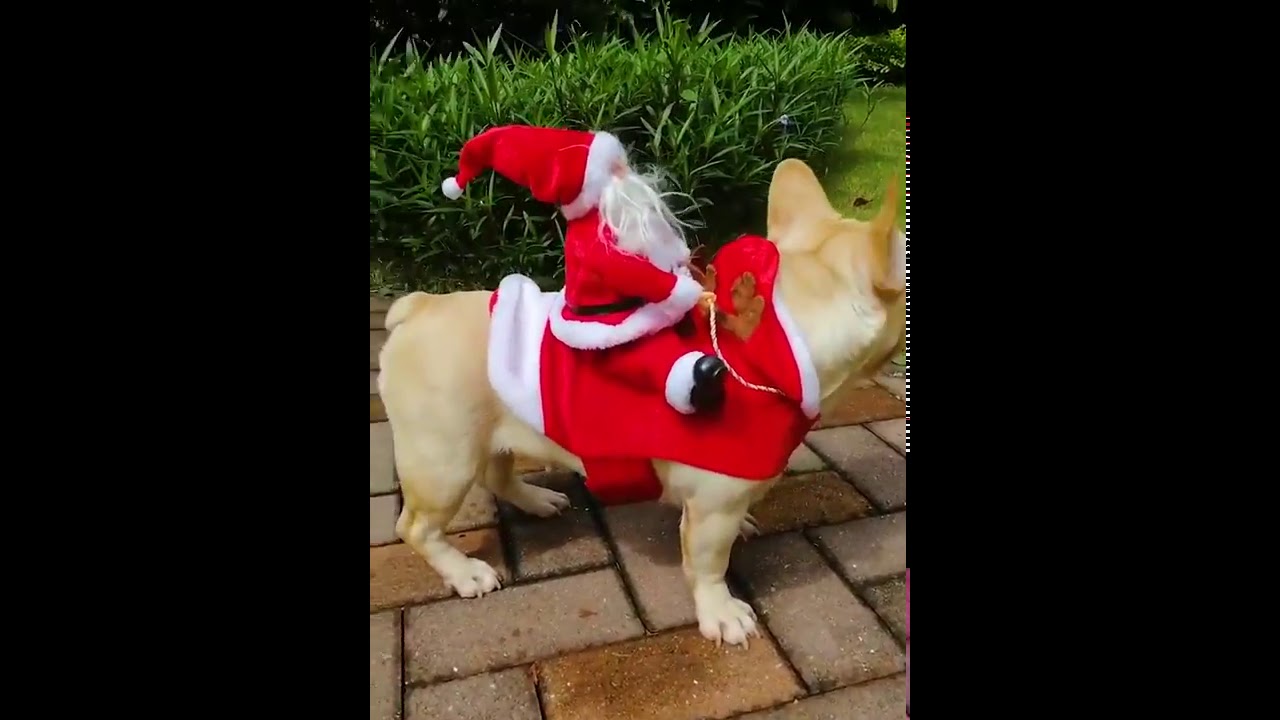Christmas Clothes Santa Dog Costumes Holiday Party