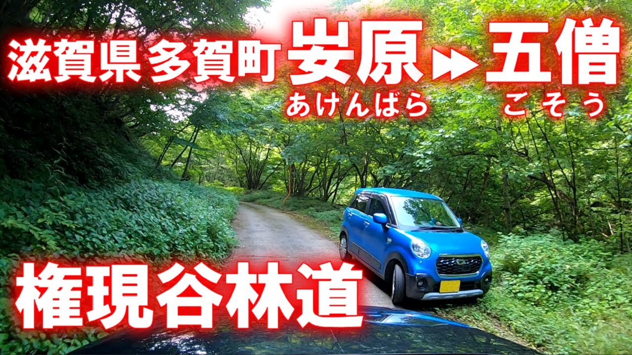 【車載動画】権現谷林道 (滋賀県多賀町 𡚴原 → 五僧)