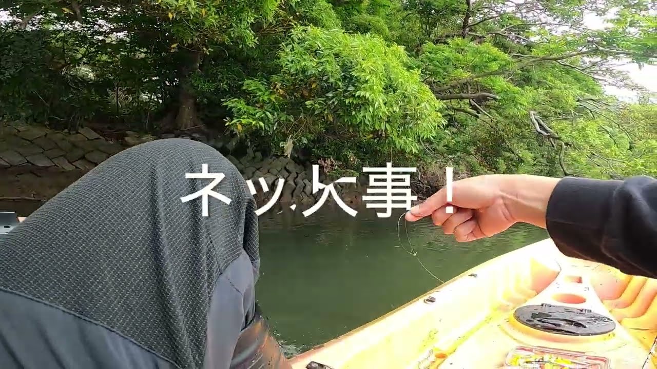 種子島カヤックトップチヌランディング失敗した