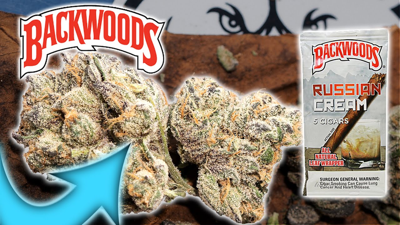 5 GRAM BACKWOODS BLUNT HOTBOX