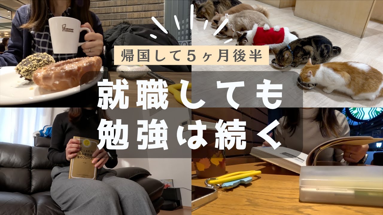 就職しても勉強は続く｜入社後の日常と気持ち（帰国５ヶ月目）