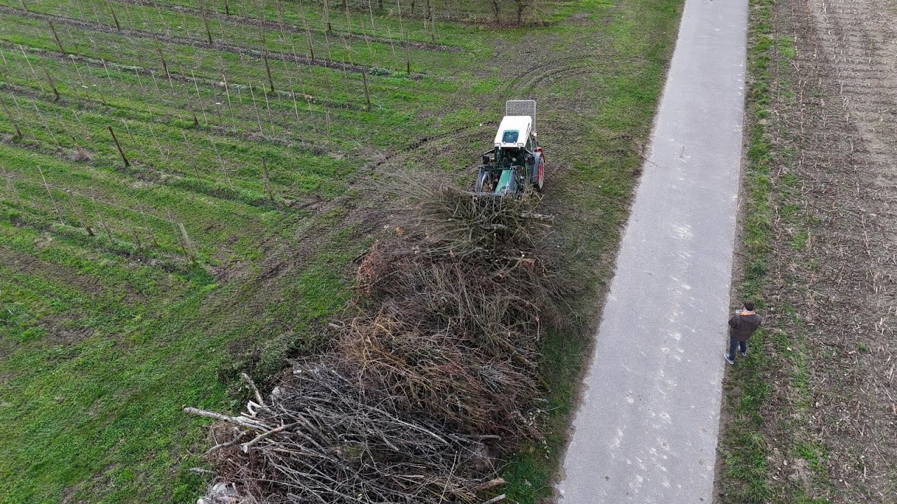 Obstbau Vlog 3, Obstbäume (alte Elstar) roden