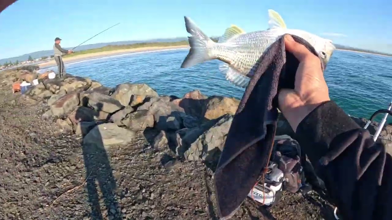 South coast breakwater mackerel and bream  fun  day out## @ Saturday fishing with friend 