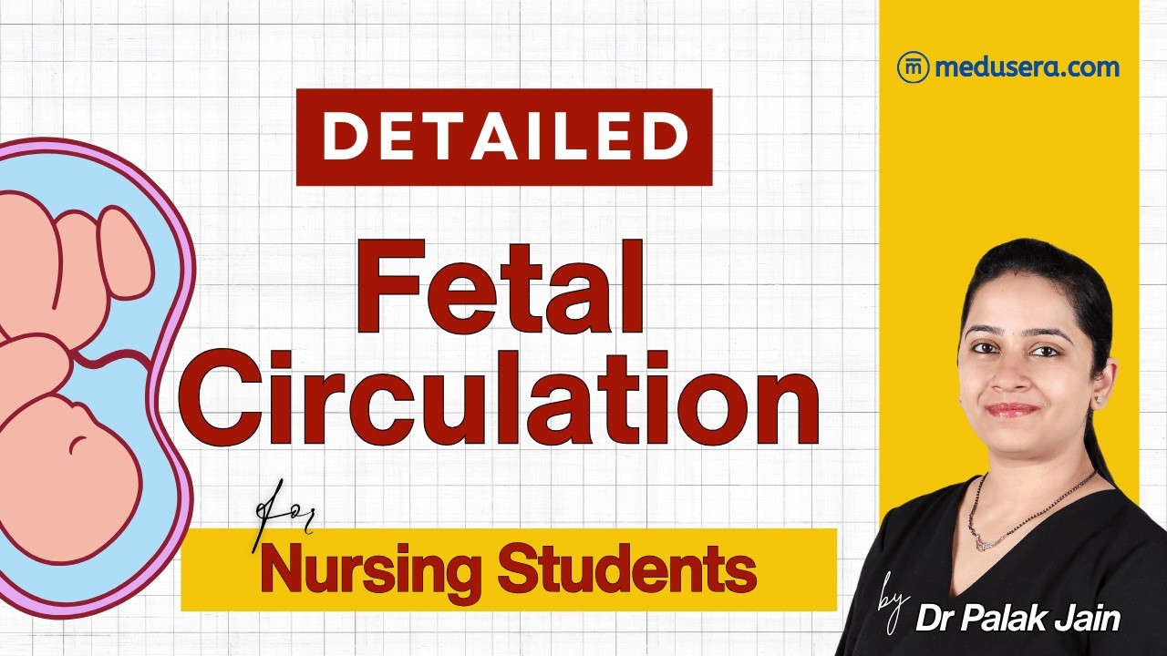 fetal circulation made easy for #nurses #nursingstudent #norcet #rrbnursing  #esicnursing