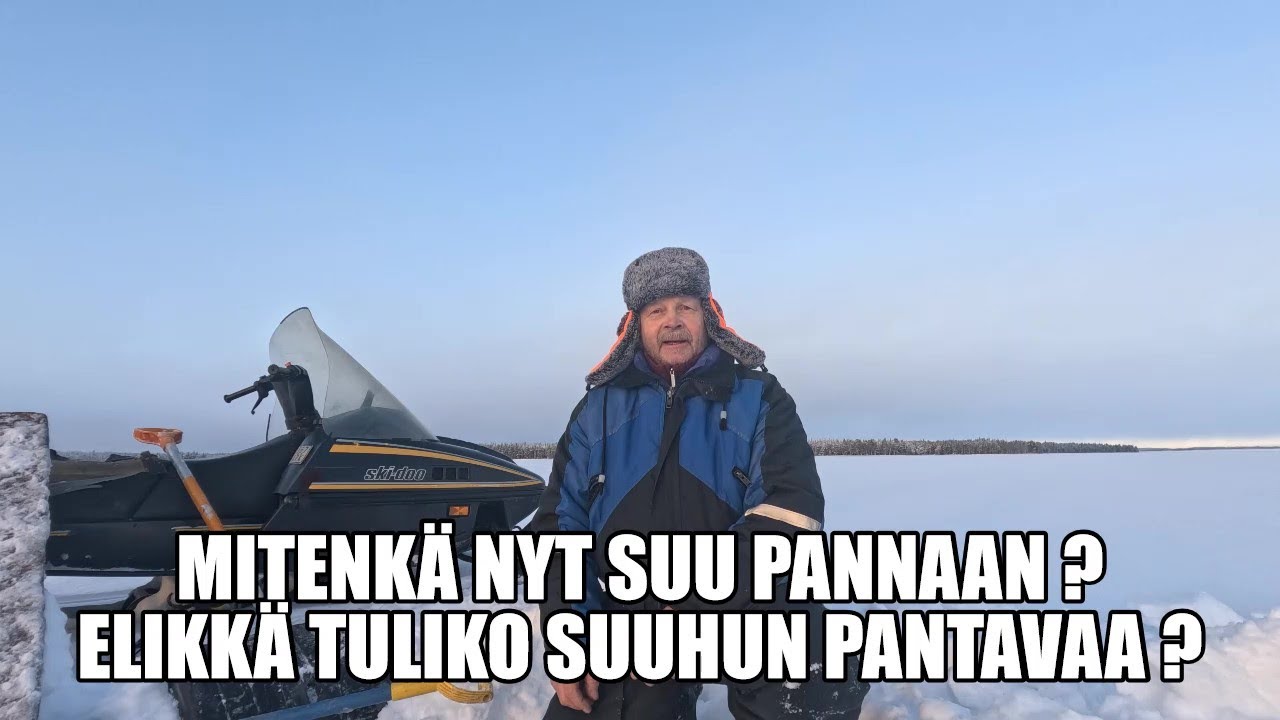 VERKOILLE, SAADAANKO EDES KETULLE SYÖTÄVÄÄ. ?