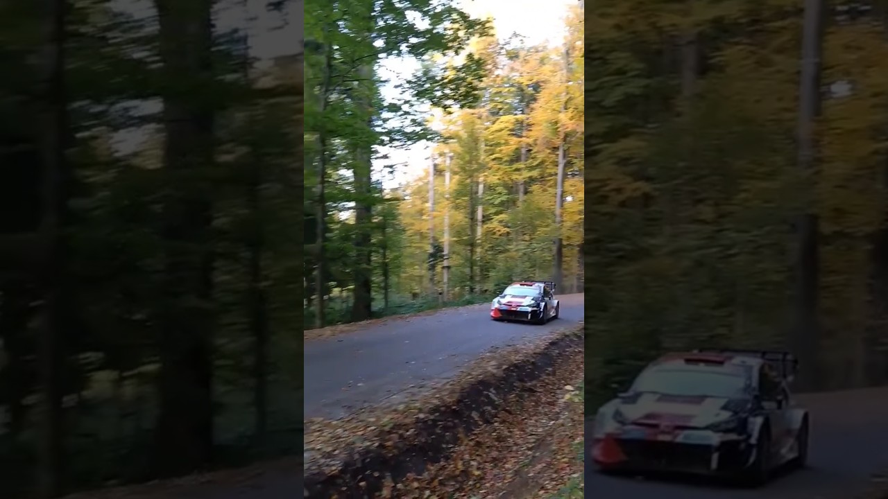 Rovanpera & Tanak #rally #rajdy #wrc