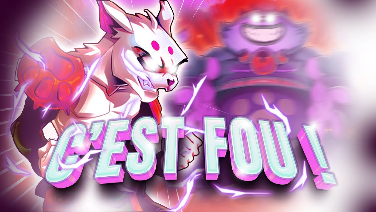 Des combats de ZINZIN ! DOFUS RETRO PVP