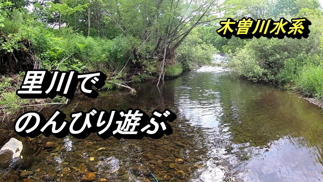 【渓流ルアー】木曽川水系　～のんびり里川釣行～