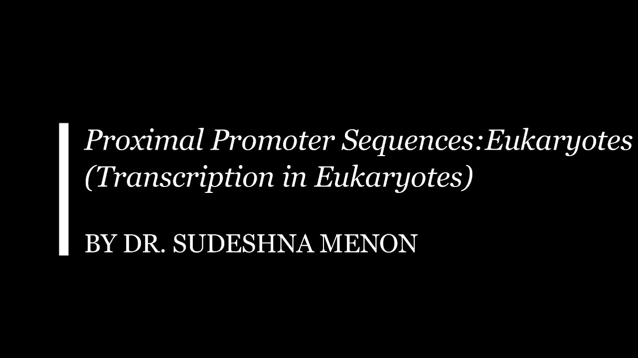 Proximal Promoter Sequences Eukaryotes Regulatory sequences