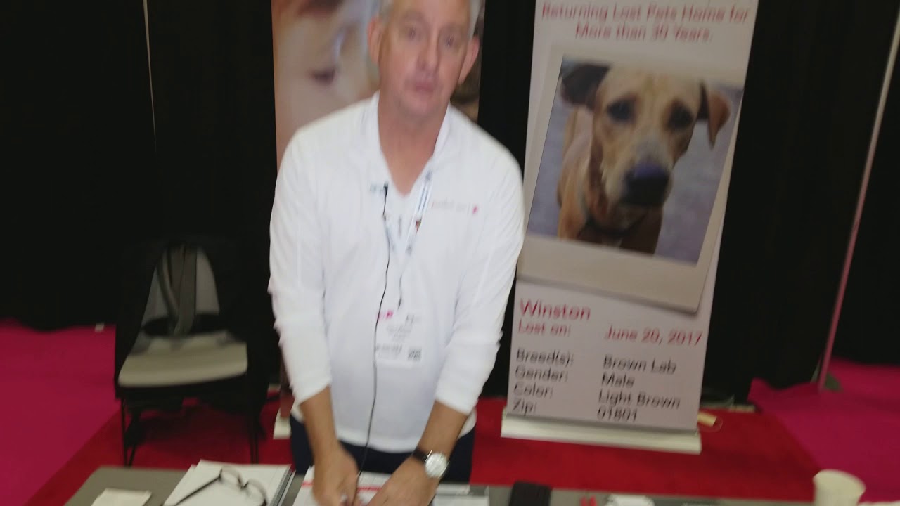 Petlink