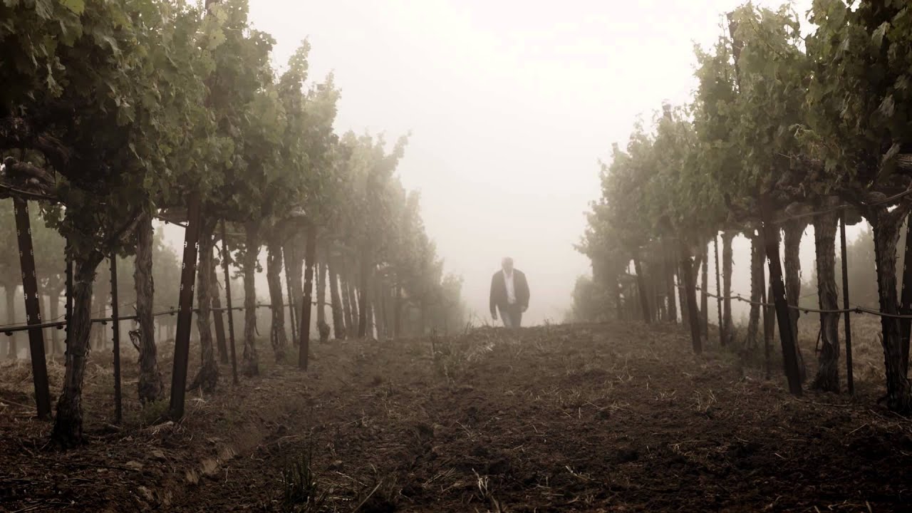 Jackson Estate - A tribute to our family’s estate vineyards.