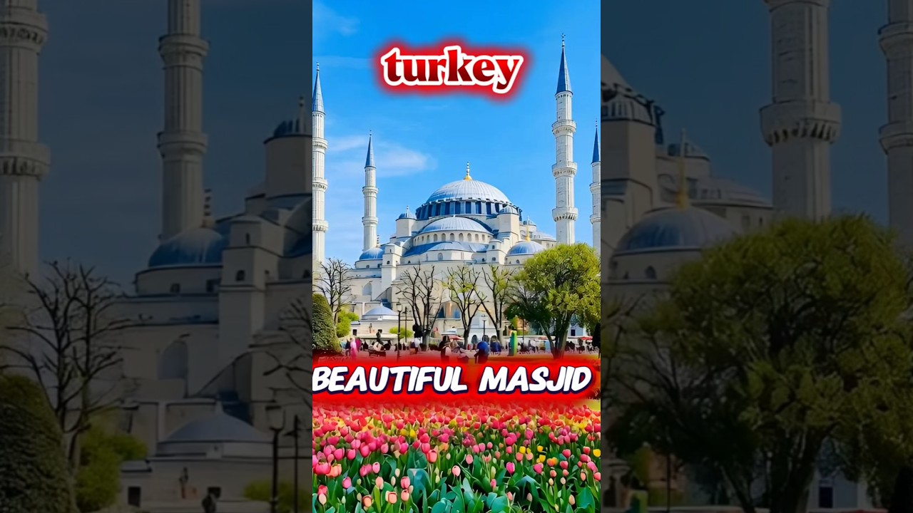 Inside the Blue Mosque: Istanbul's Stunning Masterpiece #short #travel