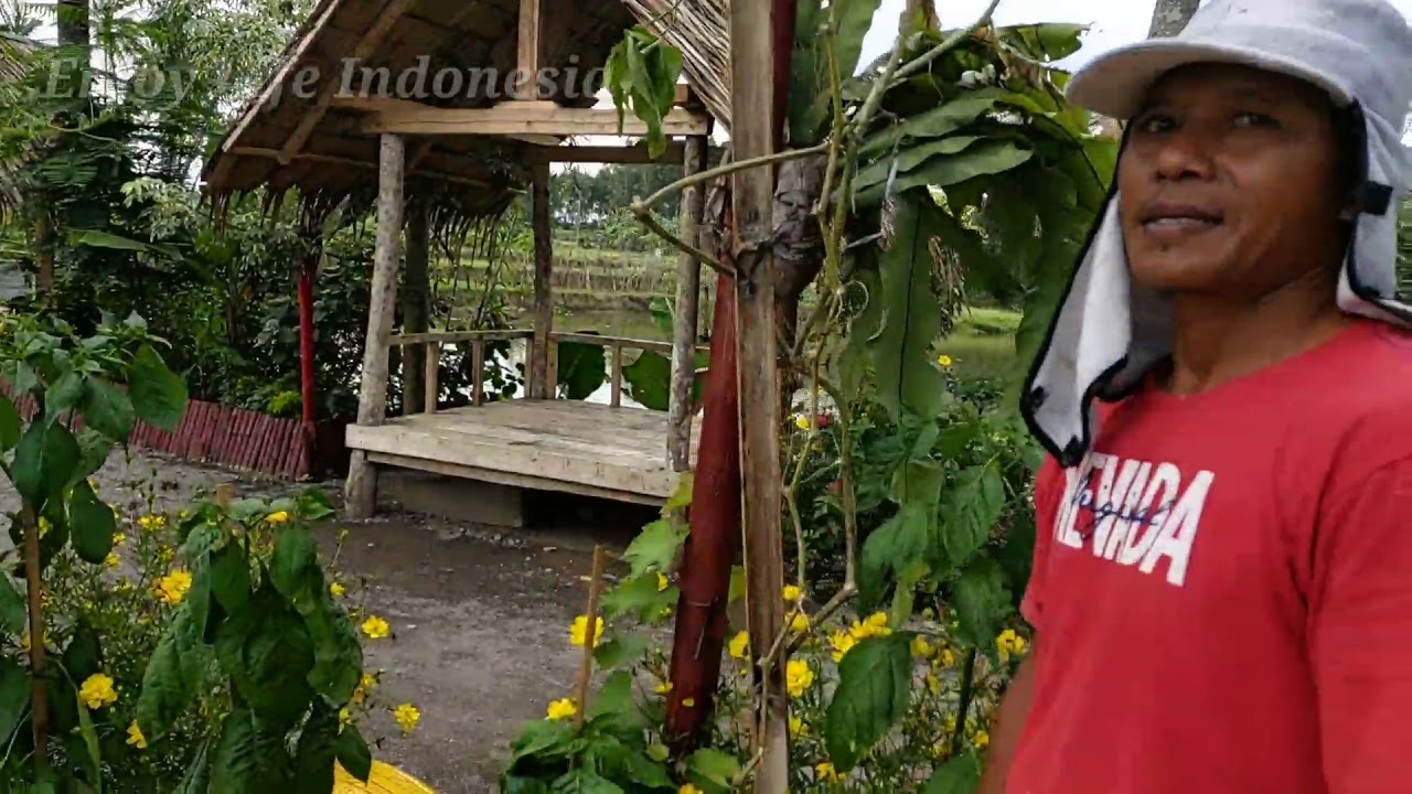 Mesin Pencetak Uang ada di Persawahan || Lahan Pertanian disulap jadi tempat wisata yg sangat indah