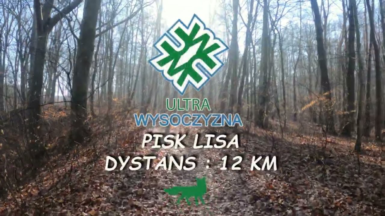 Ultra Wysoczyzna - Pisk Lisa - 12 km