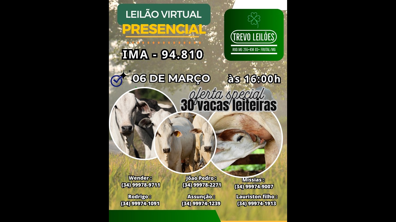 Leilão Presencial e Virtual  na Trevo Leilões, FRUTAL-MG - Dia 06/03/2026