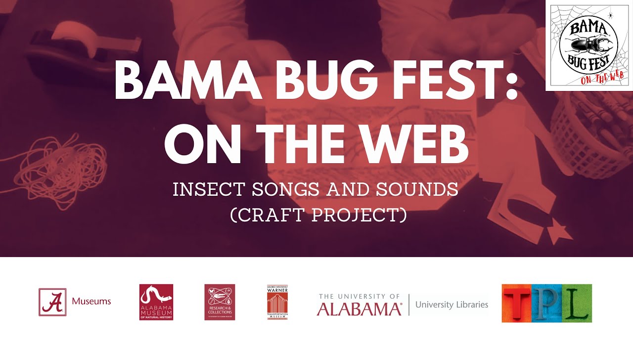 Bama Bug Fest: On the Web - Insect Songs and Sounds (Craft Project)
