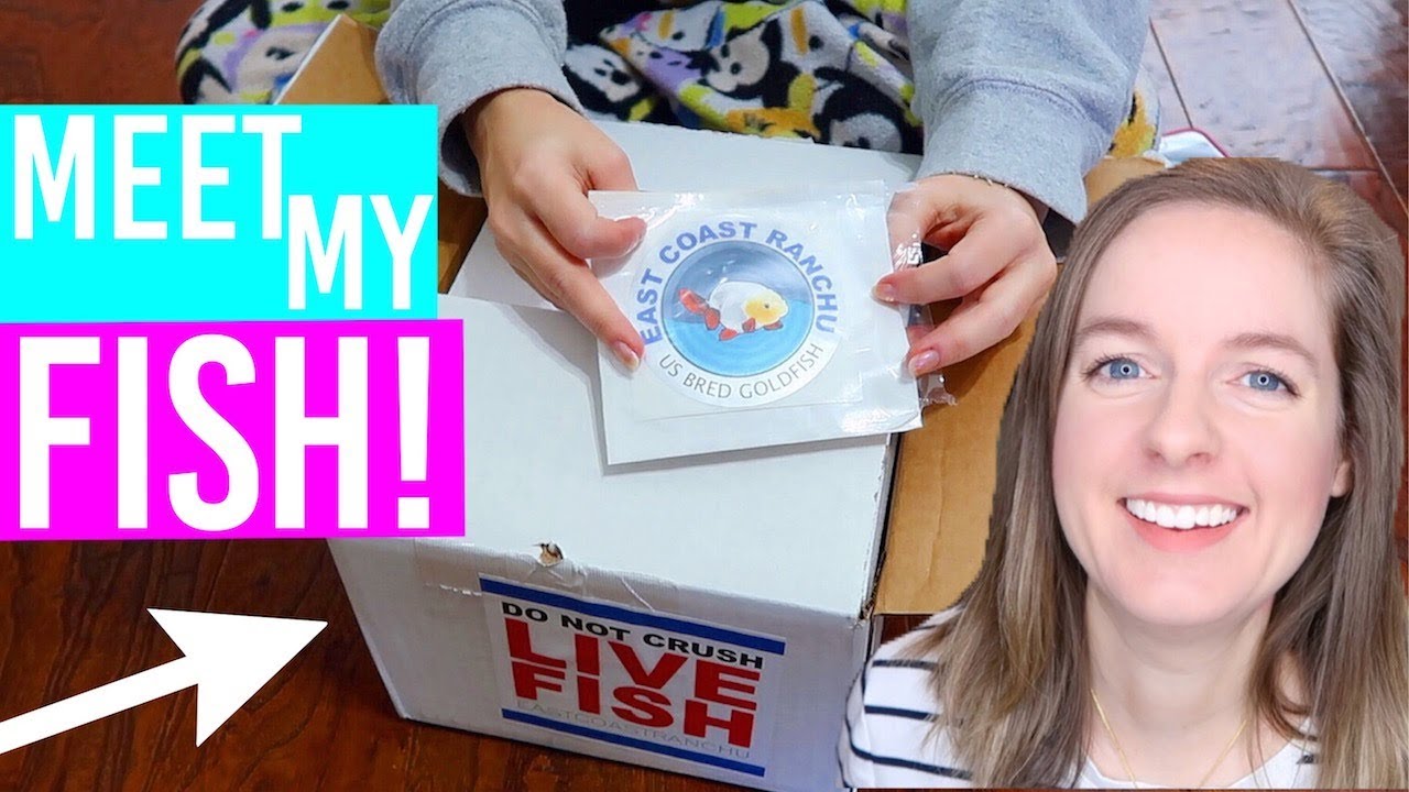 I GOT A FISH ( Unboxing My New Goldfish )