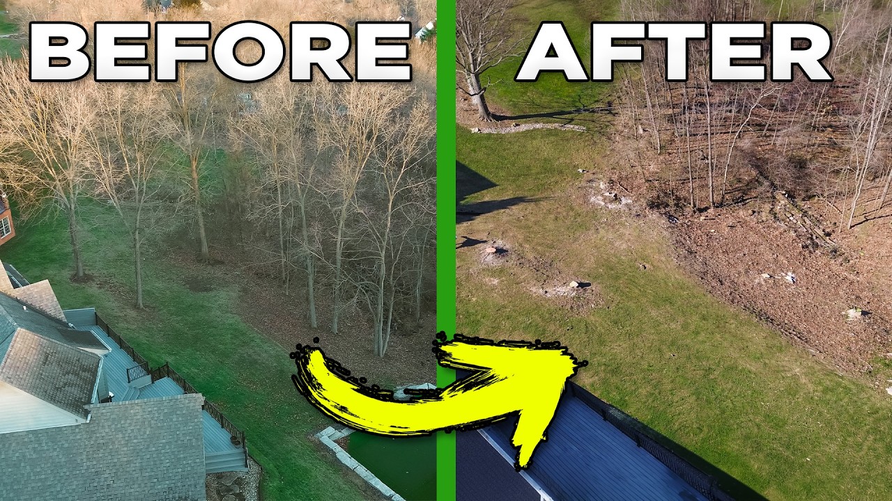 Hillside CLEARING! Remove 13 Trees in ONE DAY! | Part 1