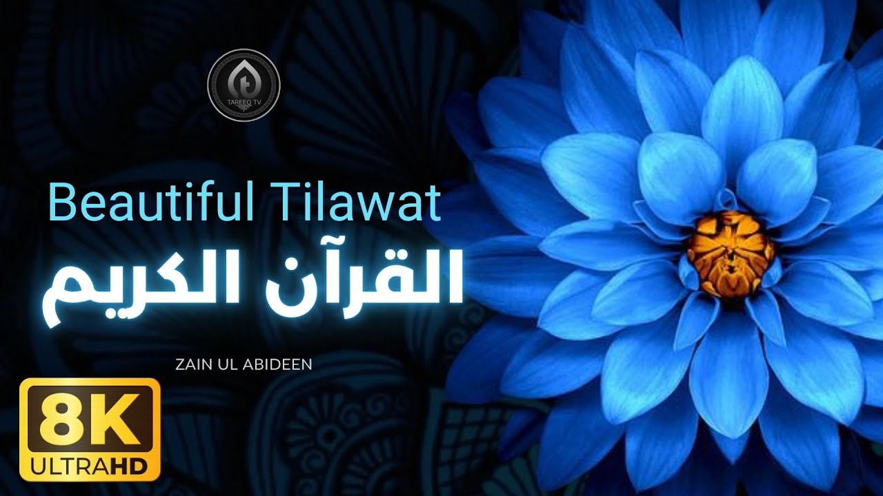 8K Quran Tilawat: The Incredible Sleep-Inducing Result