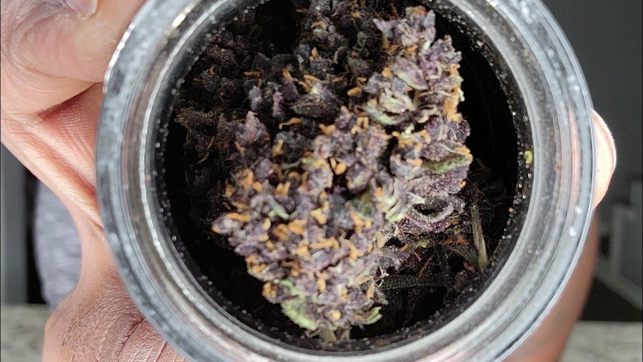 Alpen Gleaux cbd flower review - Magma Naturals