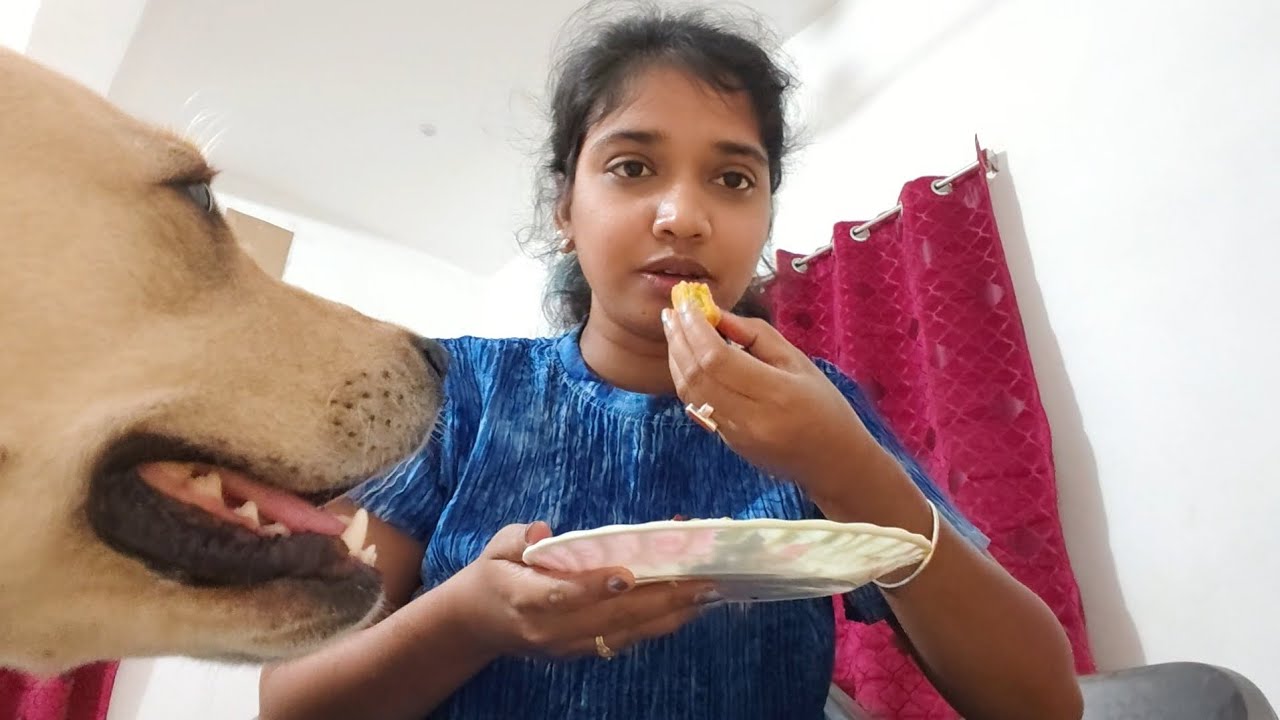 Joy ko vagetable chop khani hai 😁 || @Journeyoffjoy 