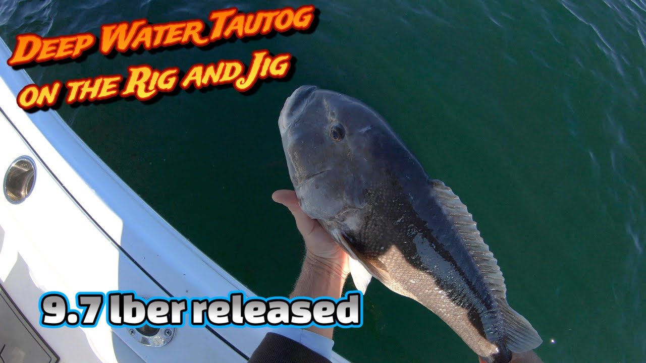 Ловля рыбы на глубоководье (Tautog/Blackfish) с помощью оснастки и джига