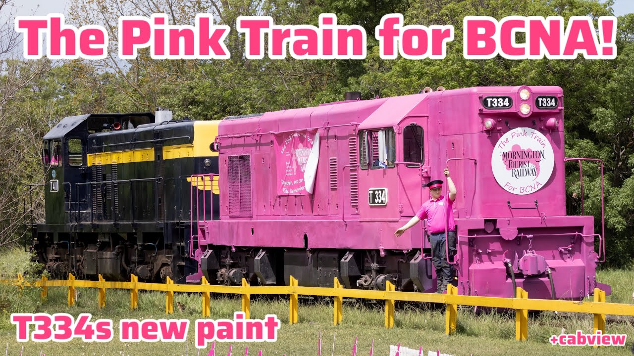 T334 is back in Ozride! Pink train fundraiser for BCNA. Mornington Tourist Railway.
