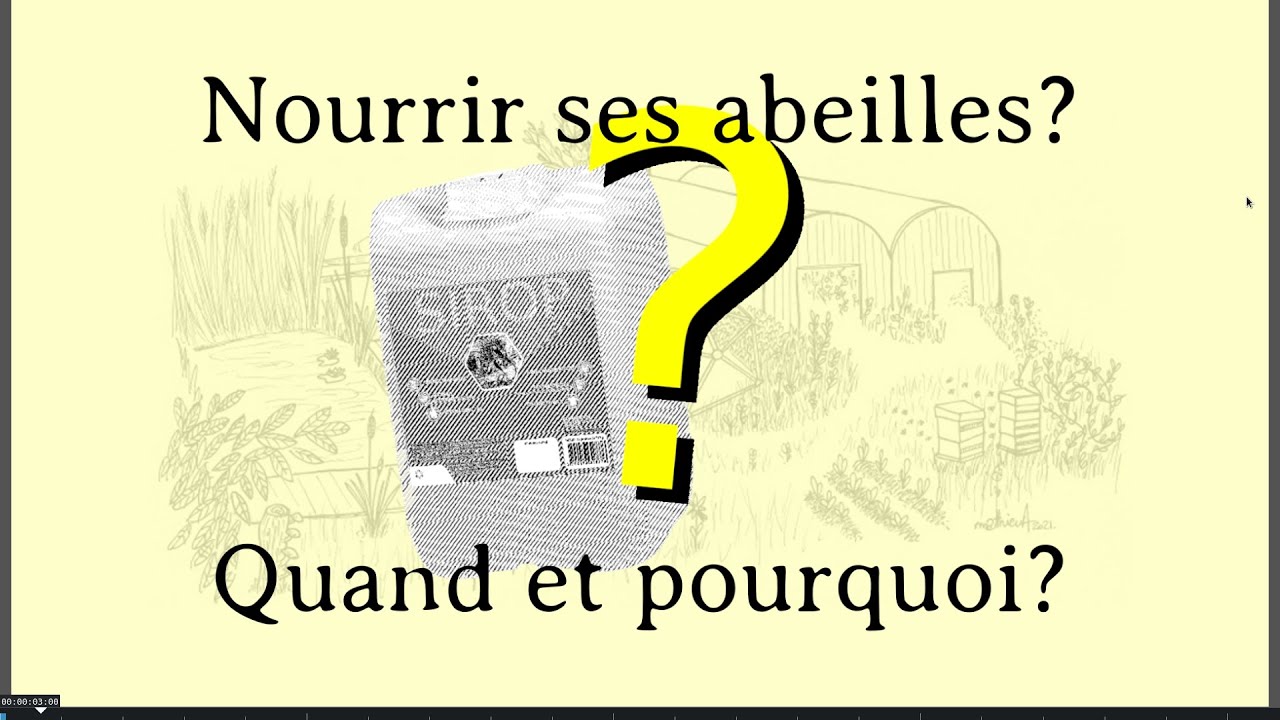 Nourrir les abeilles? Comment et pourquoi? Mes techniques pour ne plus donner de sucre aux abeilles!