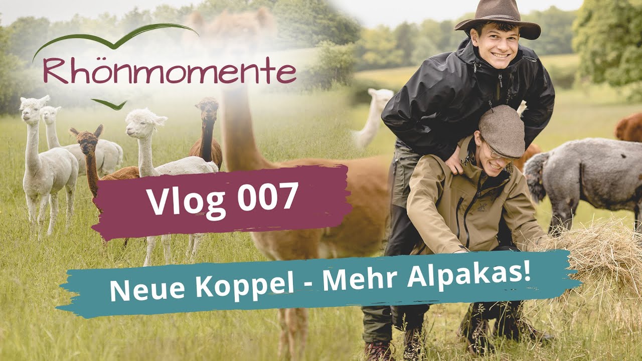 Neue Koppel und neue Alpakas! - Vlog 007 - Rhönmomente